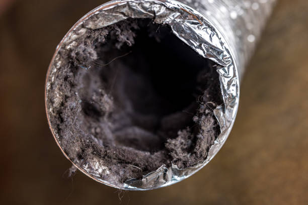 Best Air Duct Cleaning Company Near Me  in Jefferson, OR